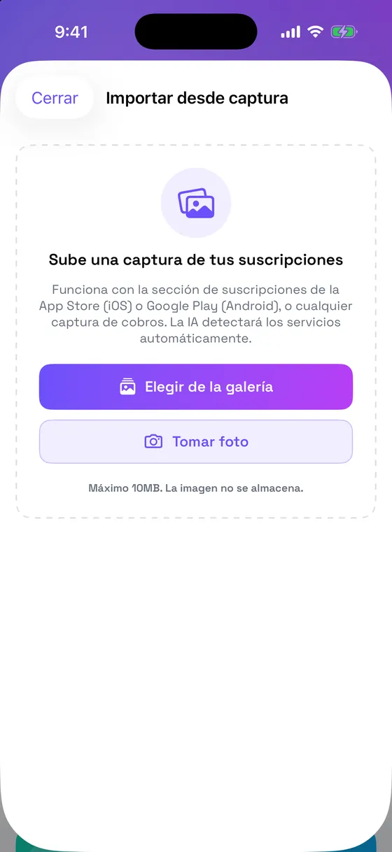 Pantalla de importación: la app extrae servicio, monto y fecha desde una captura